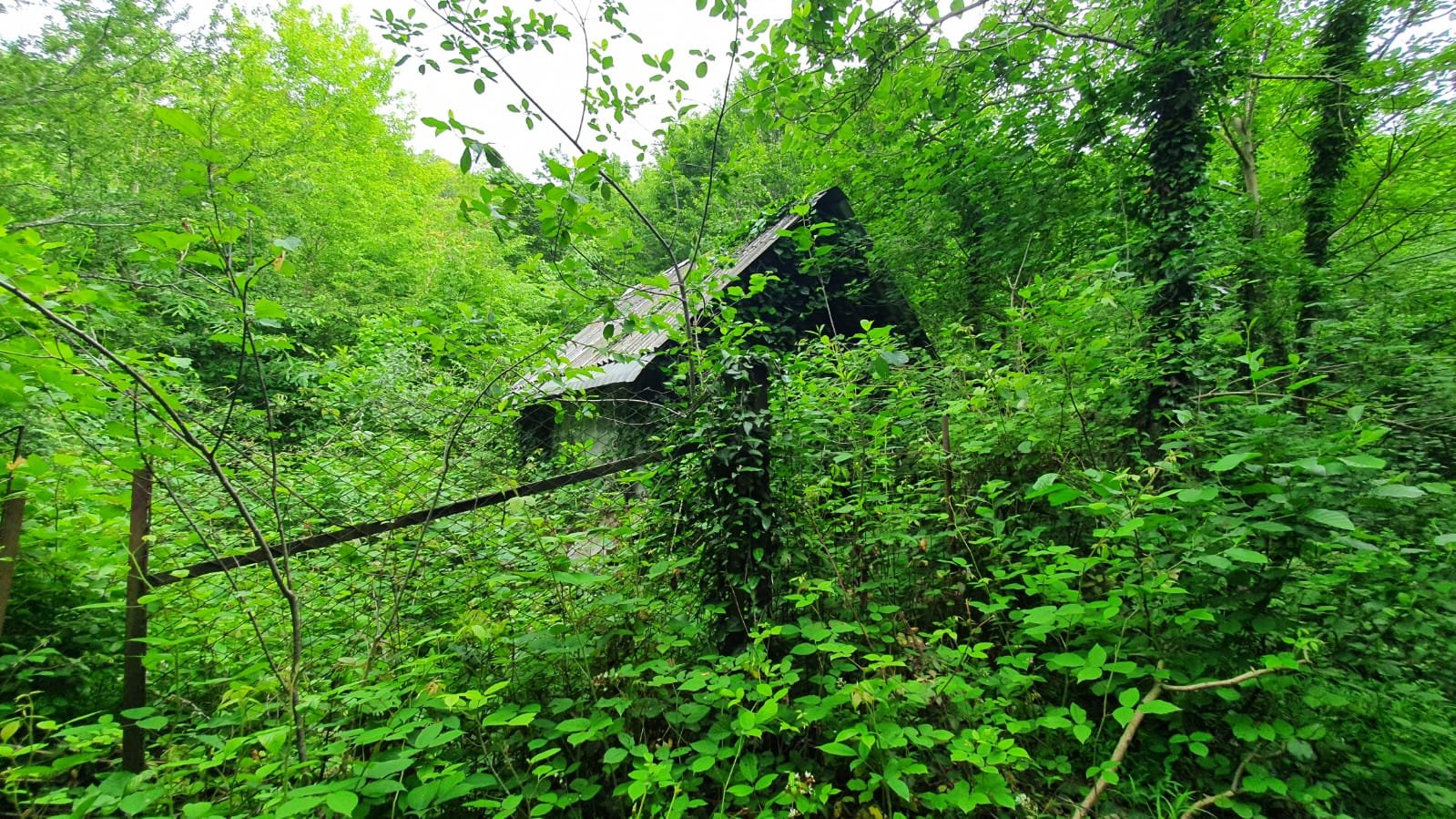 Купить Участок В Сочи Пластунка